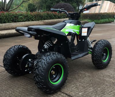 купить Электроквадроцикл MOTAX GEKKON 1300W в Москве - фото 