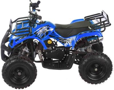 купить Квадроцикл MOTAX ATV Mini Grizlik X-16 в Москве - фото 