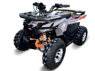 купить Квадроцикл GBM Daxter 220 NEW premium в Москве - фото 