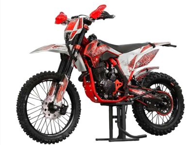 купить Мотоцикл DAREX Alga 300 ENDURO в Москве - фото 