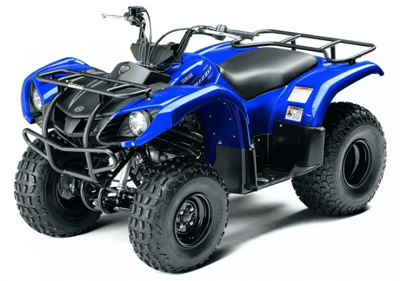 Квадроцикл GRIZZLY 125сс детский в Москве