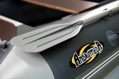 купить Лодка РИБ АНДРОМЕДА RS-305 в Москве - фото 