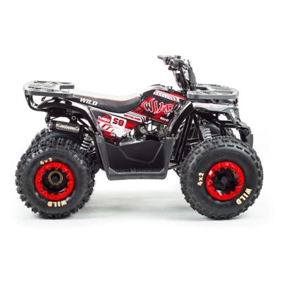 купить Квадроцикл MOTOLAND Wild 150 в Москве - фото 