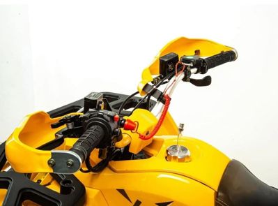 купить Квадроцикл MOTOLAND 125 Wild (2021 Г.) в Москве - фото 