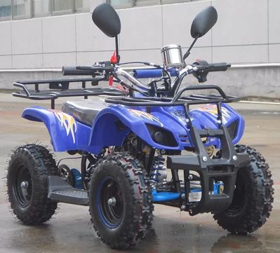купить Квадроцикл RAPTOR Max Pro 49cc (2024) в Москве - фото 