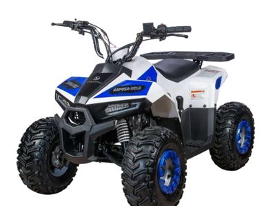 Квадроцикл YACOTA Raposa Pro Sport в Москве