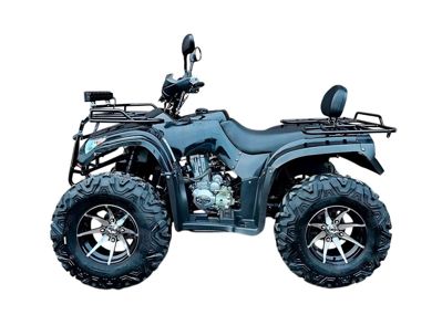 купить Квадроцикл  Hammer 250 EFI в Москве - фото 