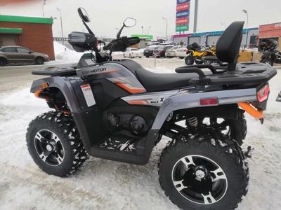 купить Квадроцикл MOTOLAND ATV 300 Max X в Москве - фото 