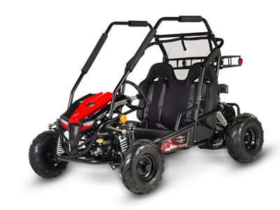 купить Багги SHARMAX Тигр 250 в Москве - фото 