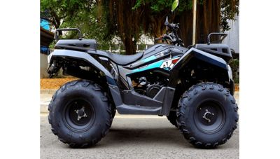 купить Квадроцикл RATO 200 Simple в Москве - фото 