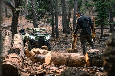 купить Квадроцикл KAWASAKI Brute Force 750 LE EPS (2024) (ПСМ) в Москве - фото 