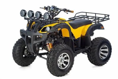 Квадроцикл RAPTOR Max Pro 250 (жёлтый/чёрный) (2024) в Москве