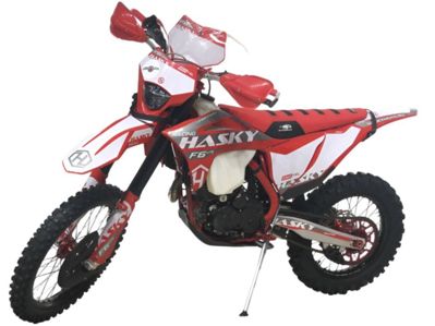 Мотоцикл кроссовый эндуро HASKY F6 Lite Racing в Москве