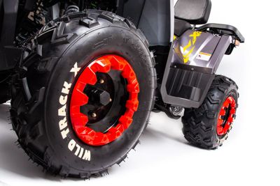 купить Квадроцикл MOTOLAND 200 Wild Track X Pro (2022) в Москве - фото 