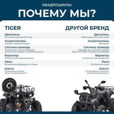 купить Квадроцикл TIGER Max Grade 300 в Москве - фото 