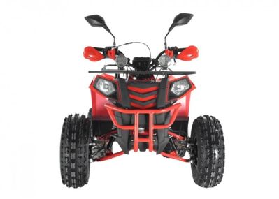 купить Квадроцикл WELS Thunder EVO LUX X 125 в Москве - фото 