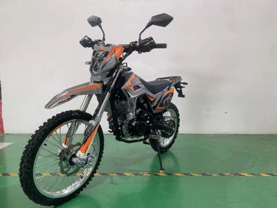 купить Мотоцикл JHL SX175 LX162FMJ PITBIKE в Москве - фото 