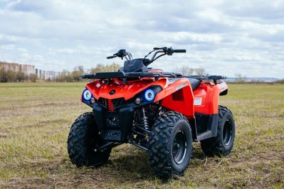 купить Квадроцикл SHARMAX Hummer 300 в Москве - фото 