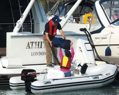 купить 2х-тактный лодочный мотор MERCURY ME 15 ML в Москве - фото 