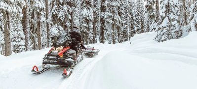 купить Снегоход BRP Ski-Doo Skandic SWT 900 ACE (2024) в Москве - фото 