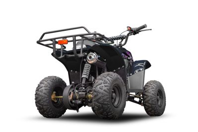 купить Квадроцикл RAPTOR 150 Universal в Москве - фото 