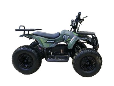 купить Электроквадроцикл MOTAX Grizlik X16 New E1000 Big Wheel в Москве - фото 