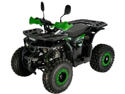 купить Квадроцикл AVANTIS Classic 8 New lux в Москве - фото 