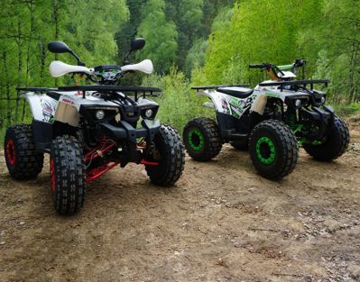 купить Квадроцикл MOWGLI Hardy 8M в Москве - фото 