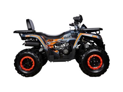 купить Квадроцикл AVANTIS H250 BIG NEW Basic в Москве - фото 