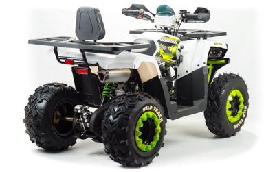 купить Квадроцикл MOTOLAND ATV 200 Wild Track в Москве - фото 