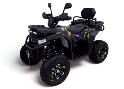 Квадроцикл MOTAX Grizlik W200 LUX в Москве