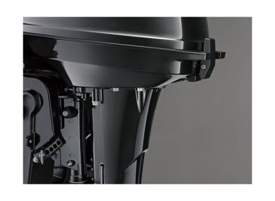 купить 2х-тактный лодочный мотор SUZUKI DT9.9AL в Москве - фото 