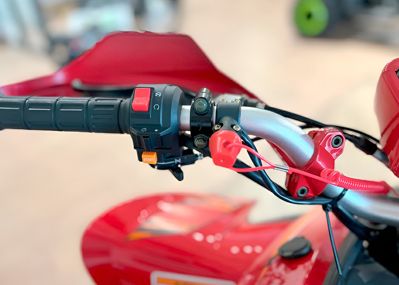 купить Квадроцикл YACOTA Typhoon 250LD в Москве - фото 