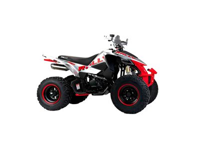 купить Квадроцикл MOTOLAND RALLY 250 в Москве - фото 