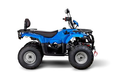 купить Квадроцикл IRBIS ATV200 LUX в Москве - фото 