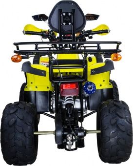 купить Квадроцикл AVANTIS Hunter 8M Lux 125 2017 в Москве - фото 