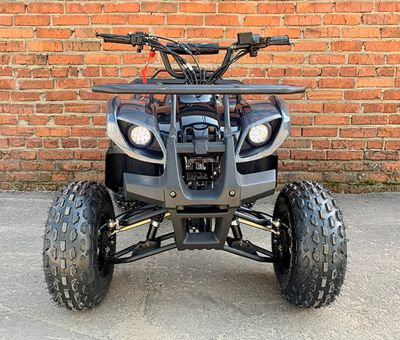 купить Квадроцикл MOWGLI Simple 8+ в Москве - фото 