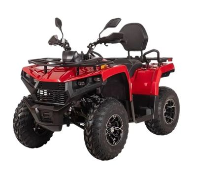 купить Квадроцикл Bizon YK250 Basic Carb в Москве - фото 