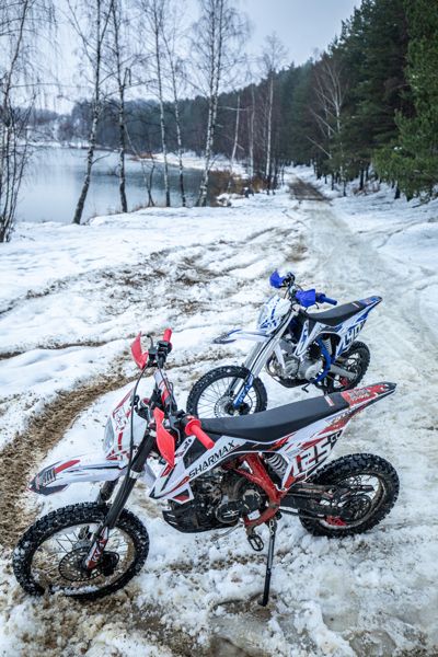 купить Мотоцикл питбайк SHARMAX PowerMax 125 (2024) в Москве - фото 