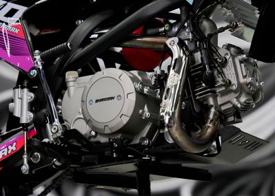 купить Мотоцикл питбайк SHARMAX MOTORS PowerMax 190 MIAMI в Москве - фото 