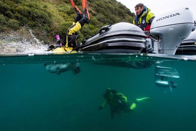 купить 4х-тактный лодочный мотор HONDA BF20 SHU в Москве - фото 