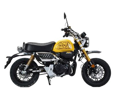 Мотоцикл MOTOLAND Monkey 150 PITBIKE в Москве