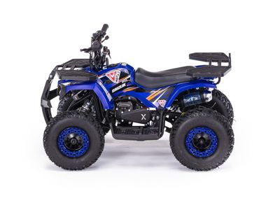 купить Квадроцикл MOTAX Grizlik X16 (ES, BW) в Москве - фото 