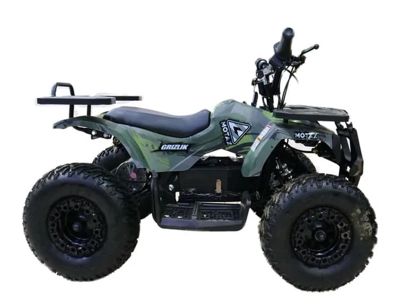 купить Электроквадроцикл MOTAX Grizlik X16 New E1000 в Москве - фото 