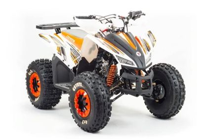 купить Квадроцикл MOTOLAND 125 Coyote (2021 Г.) в Москве - фото 