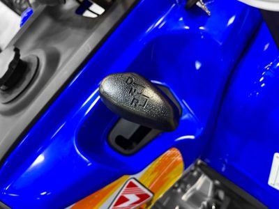 купить Квадроцикл MOTAX Grizlik 200 ULTRA BIG в Москве - фото 