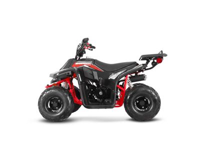 купить Квадроцикл SHARMAX 130 Cross в Москве - фото 