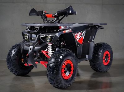 купить Квадроцикл ГЛАДИАТОР H125 Lux в Москве - фото 
