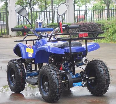 купить Квадроцикл RAPTOR Max Pro 49cc (2024) в Москве - фото 