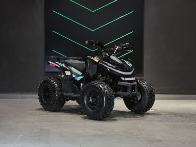 купить Квадроцикл SHARMAX Cross 180 RX в Москве - фото 